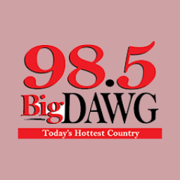 Radio WDWG 98.5 FM