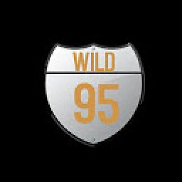 Radio Wild 95