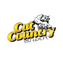 Radio WLST Cat Country 95.1 FM
