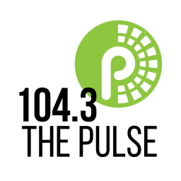 Radio WZFJ The Pulse
