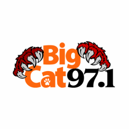 Radio WLDX Big Cat 97.1
