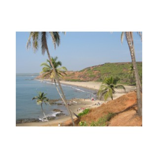 4Lobos Pop & Oldies Radio Station