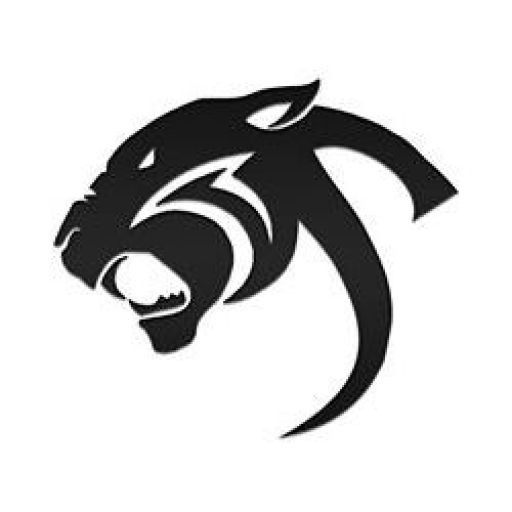 Radio Stereo Salvaje