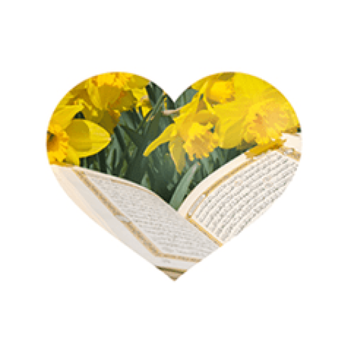 Women’s Wisdom Radio