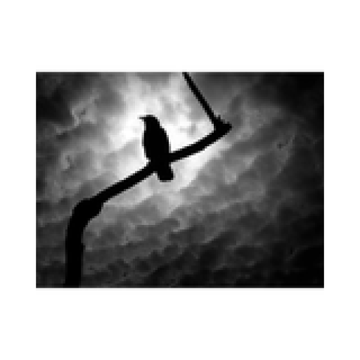 Radio Altrockisdead.com