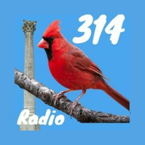 314 Bird Radio