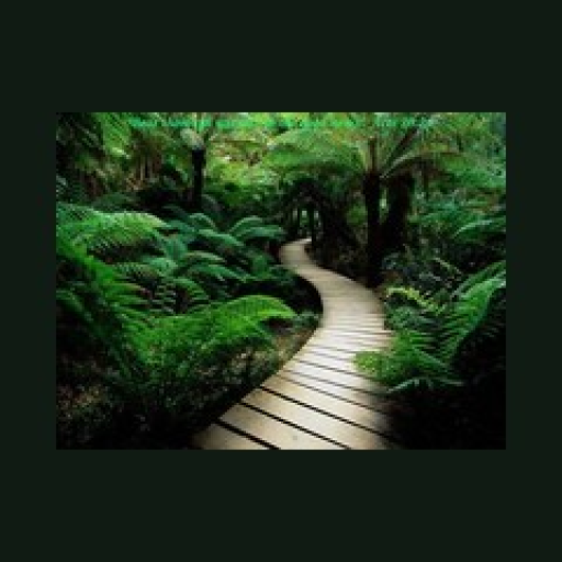 Radio Super Flow Smooth Jazz & RnB